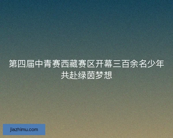 第四届中青赛西藏赛区开幕三百余名少年共赴绿茵梦想